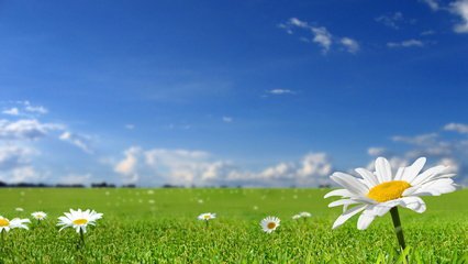 如何保養(yǎng)液壓剪板機